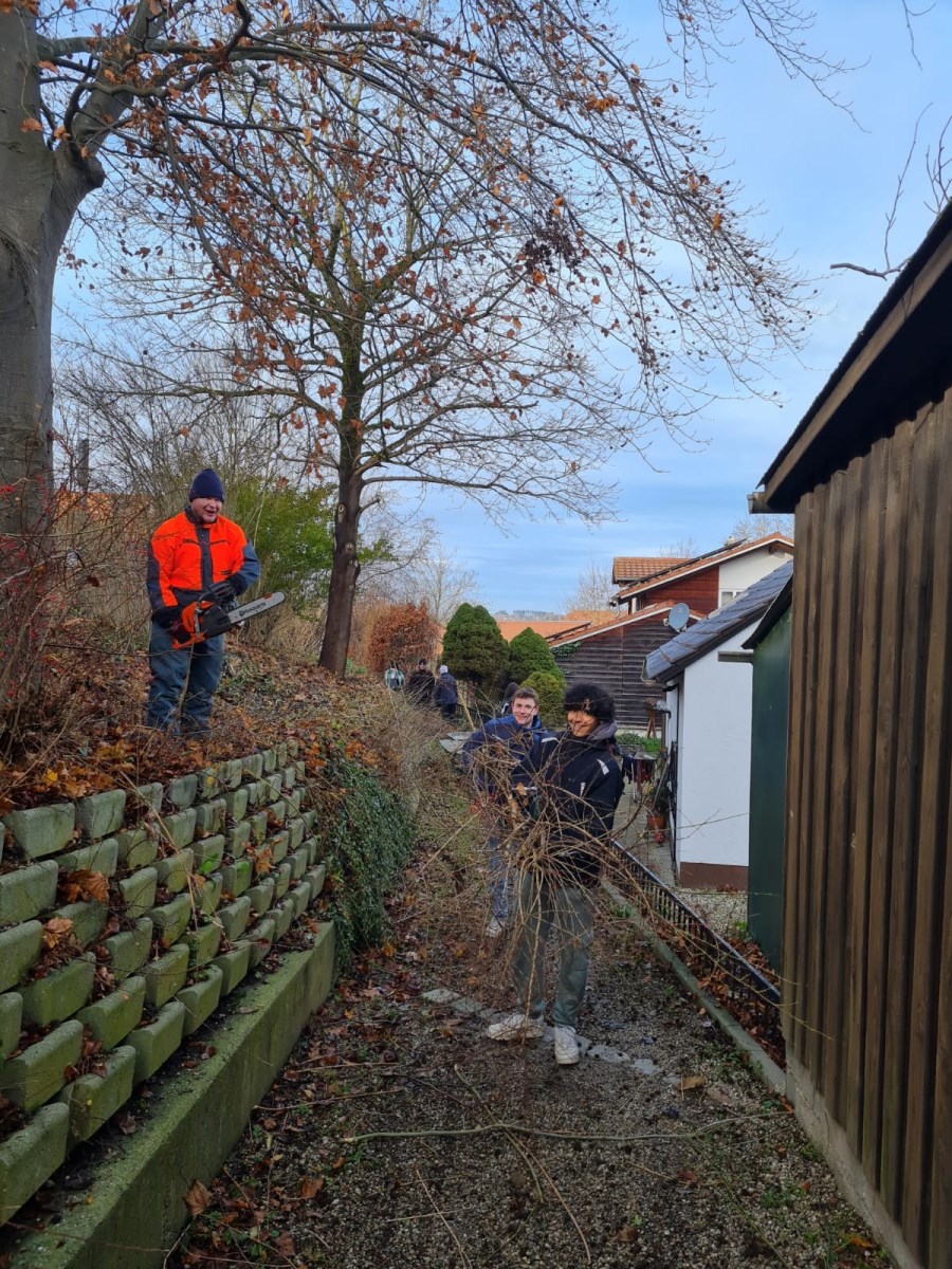 7.12.24 Freischneiden Projekt Firmhelfer