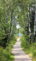 Bild Pilgerweg 2025