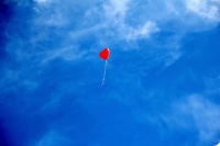 Bild Tod und Trauer Herzballon 2025/26