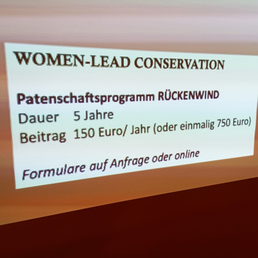 Rückenwind