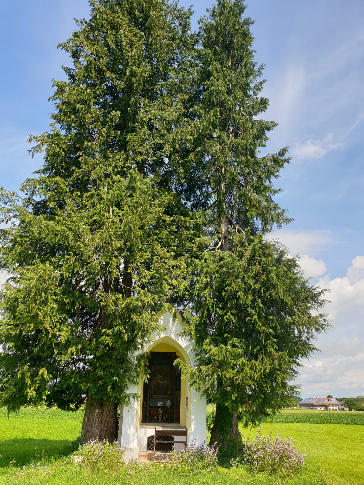 Kapelle