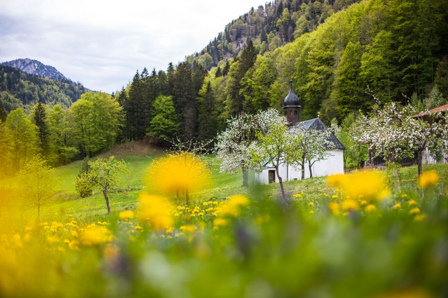 Kapelle nahe Ruhpolding in Wiesen- und Waldlandschaft