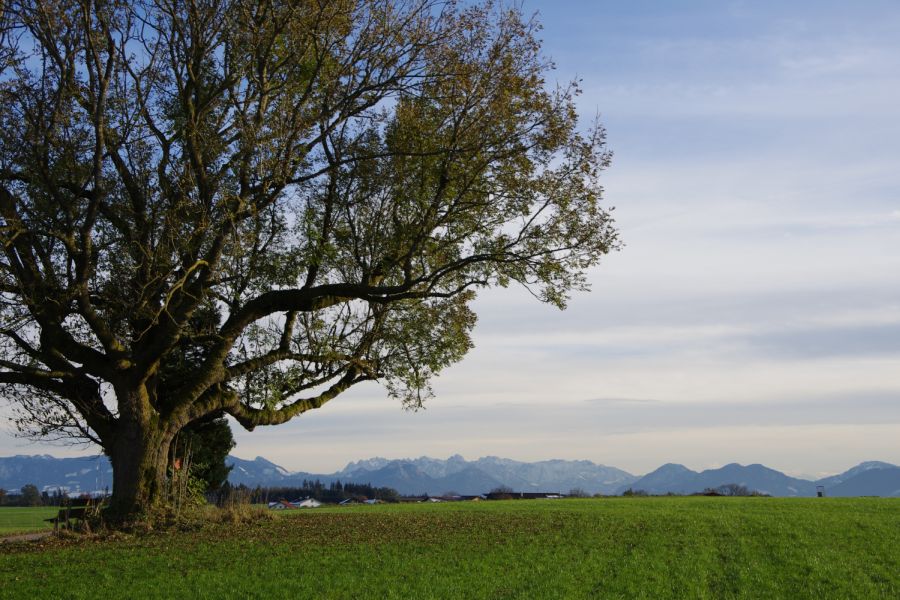 Bergpanorama: Das Leben auf dem Land bietet viele Entfaltungsmöglichkeiten und persönliche Freiheit. Aber die Arbeit in der Landwirtschaft kann auch sehr anfordernd sein und Probleme verursachen