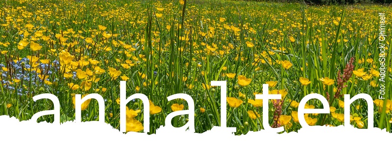 anhalten_schmal