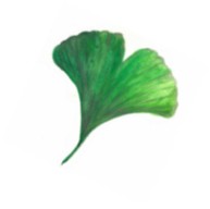 LOGO Friederike