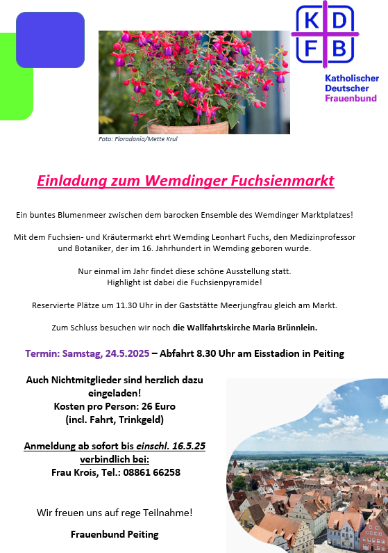 Fuchsienmarkt