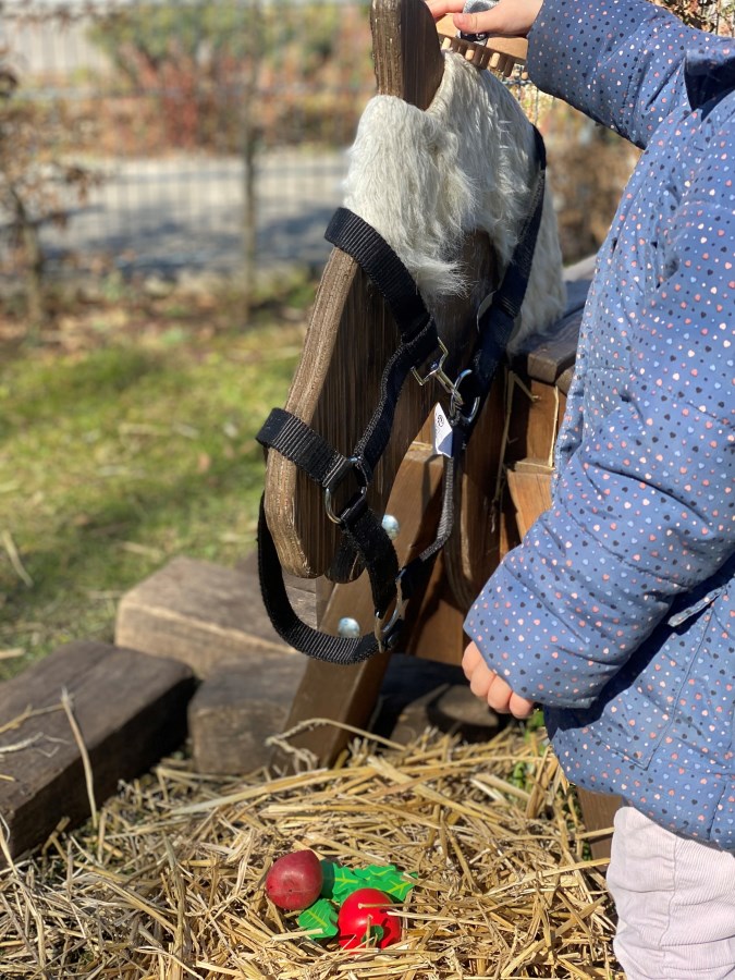 Pferd