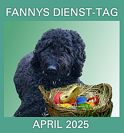2025-04-01-BANNER-Fanny-April2-250