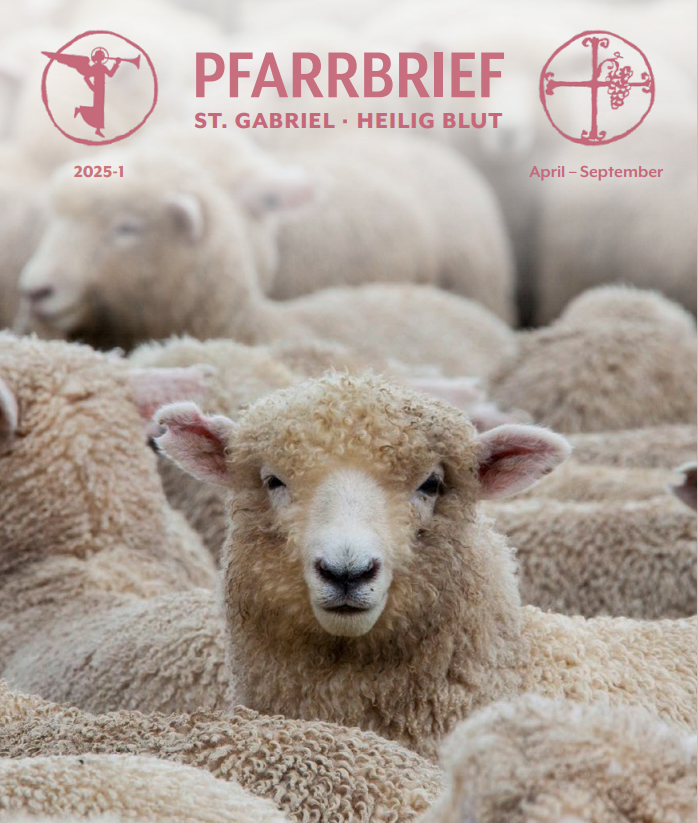 Titelbild Schafe