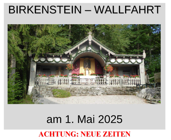 2025 Plakat Birkenstein