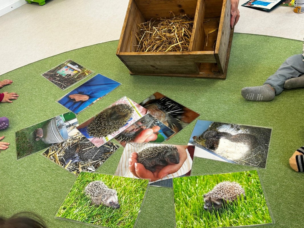 Garten