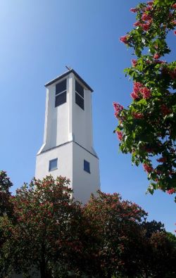 Foto St. Maximilian Kolbe mit Magnolie