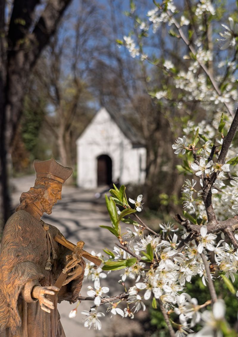 Fotocollage: die hölzerne Figur des Heiligen Nepomuk steht vor der Pasinger Nepomukkapelle. Das Bild ist mit frühlingshaften Zweigen umhüllt.