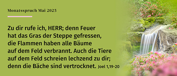 Monatsspruch-Mai-2025