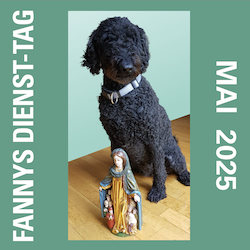 2025-05-04-BANNER-FANNY-2025-05-250