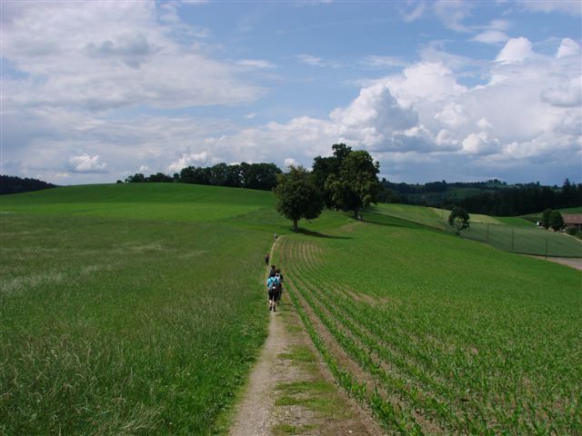 Jakobswegpilger