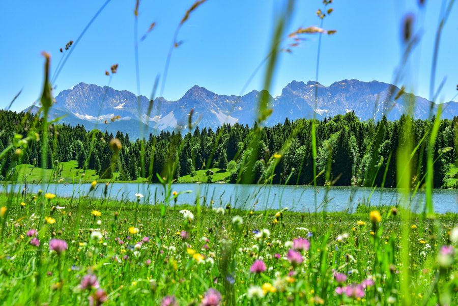 Almwiese im Sommer bei Garmisch-Partenkirchen, im Mittelgrund der Geroldsee, im Hintergrund das Karwendelgebirge