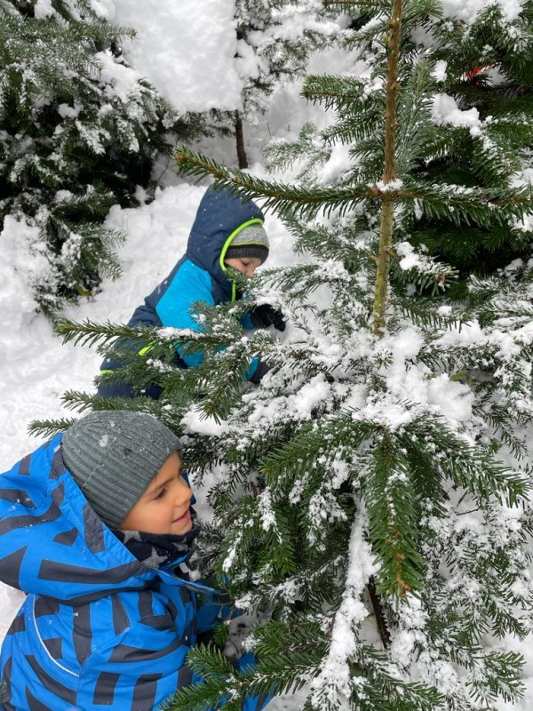 Christbaum