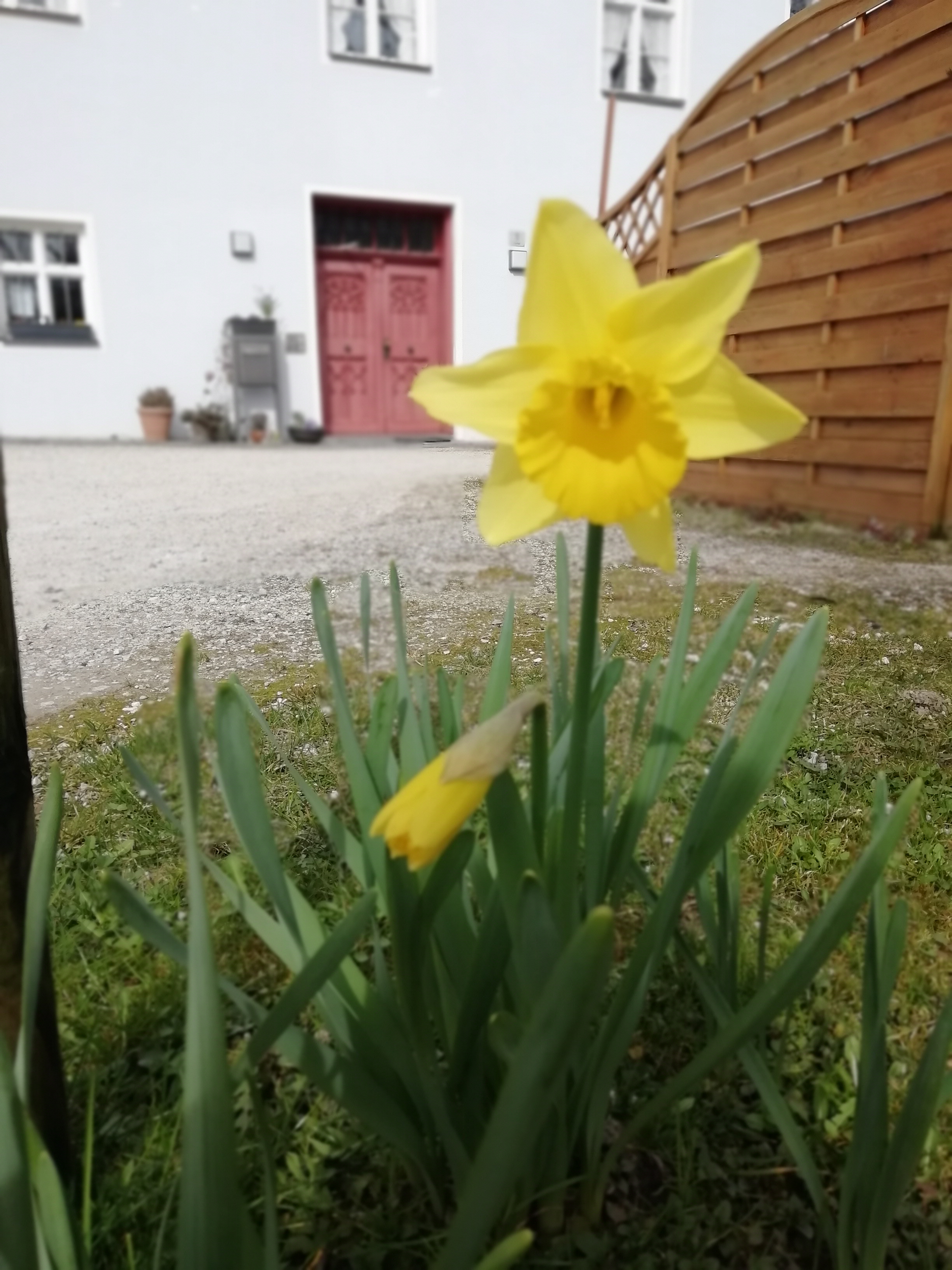 Frühling 2