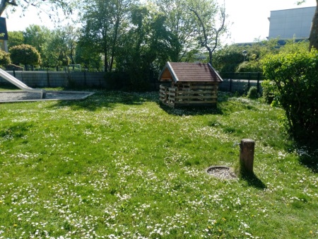 Garten 3
