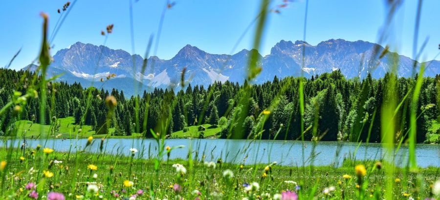 Almwiese im Sommer bei Garmisch-Partenkirchen, im Mittelgrund der Geroldsee, im Hintergrund das Karwendelgebirge