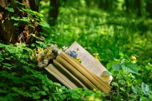 Ein aufgeklapptes Buch liegt auf einem grünen Waldboden