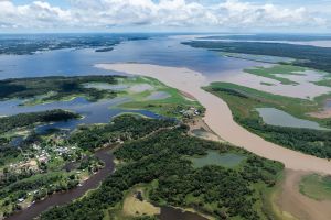 Luftaufnahme vom Amazonas im brasilianischen Manaus
