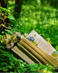 offenes Buch mit Blumen und Grün ringsum