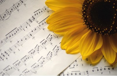 Notenblatt_Sonnenblume