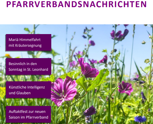 PVN Sommer 2025 Titel