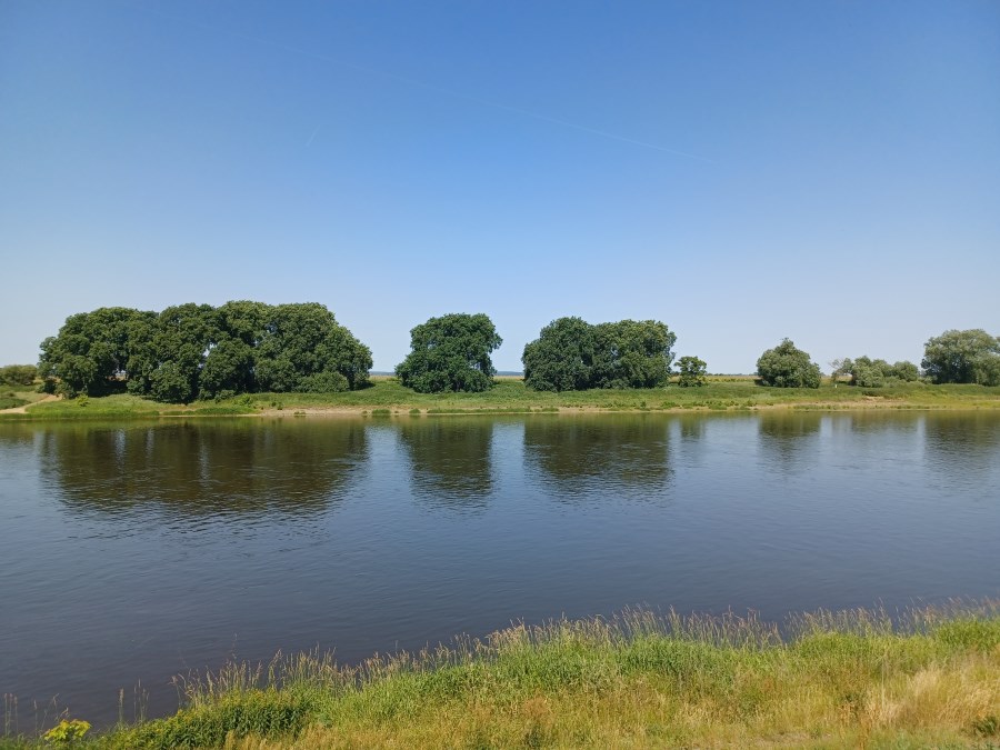 FlussSommerWiese