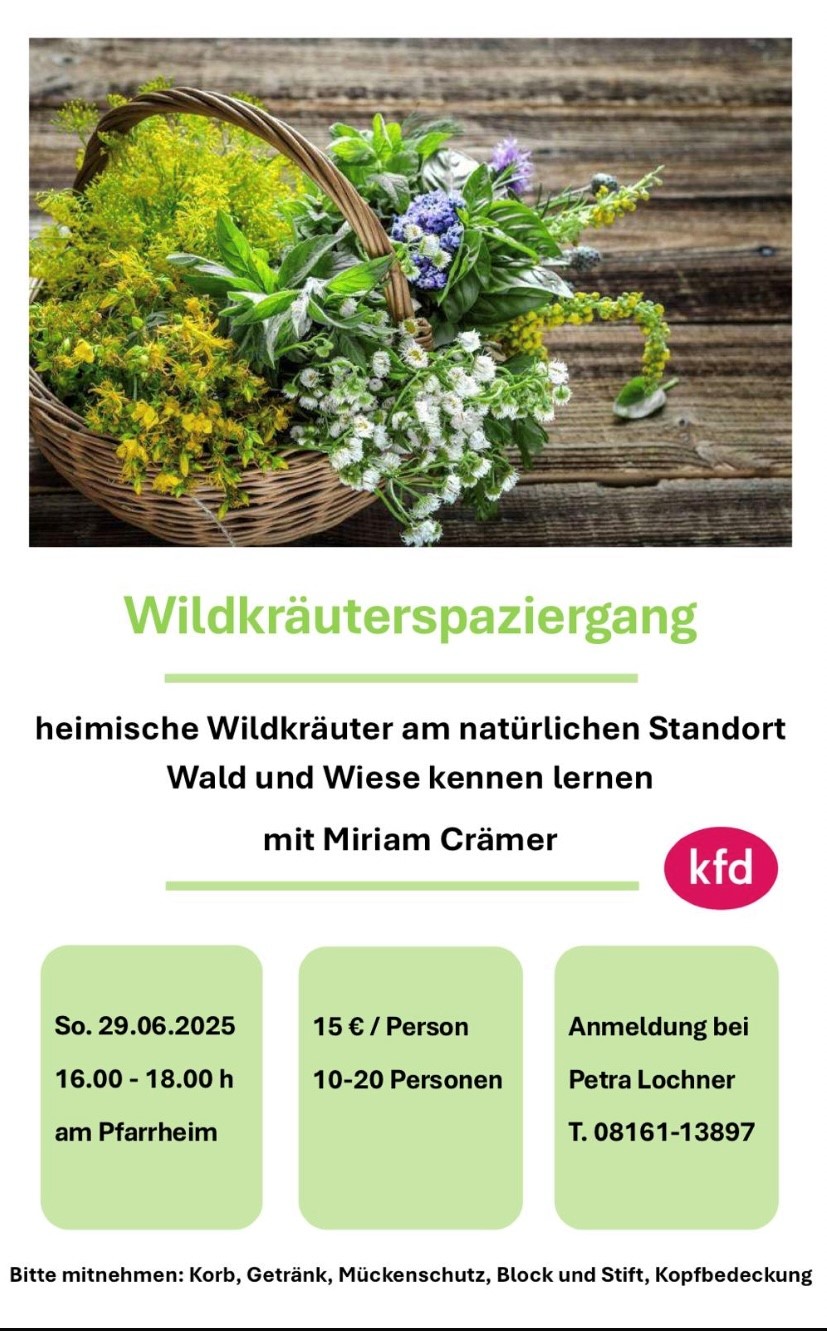 Sü_kfd_Wildkräuterwanderung2025