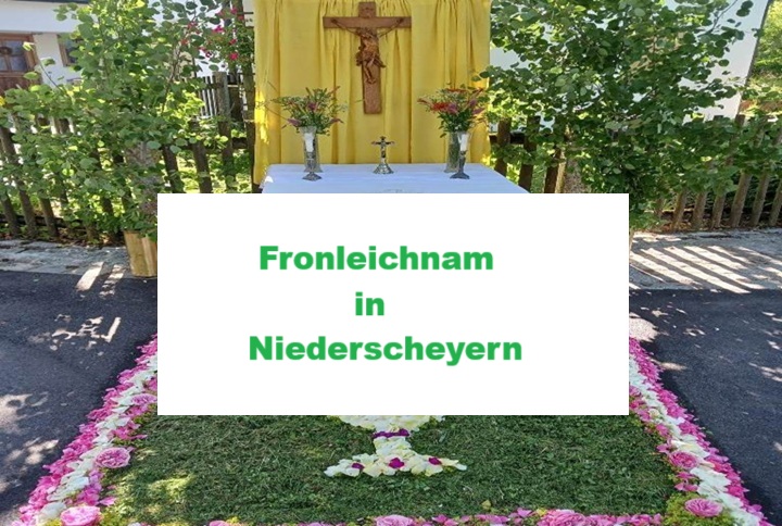 Text