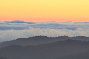 Sonnenuntergangshimmel über Wolkenmeer und Wald