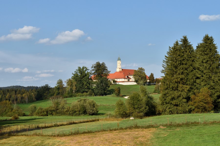 Frauen Birkenstein3