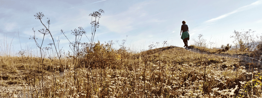 Pilger Panorama Bild
