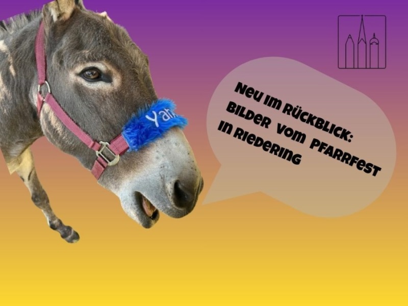 Rpckblick Pfarrfest