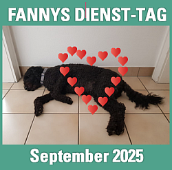 2025-09-02-BANNER-Fanny-Sept