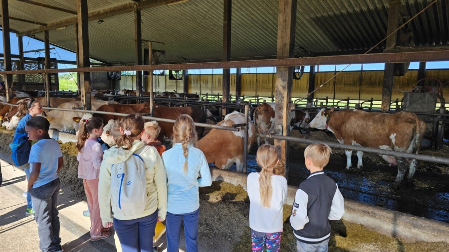 Ferienprogramm Trostberg 2025