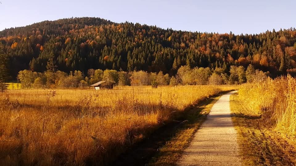 Weg Herbst