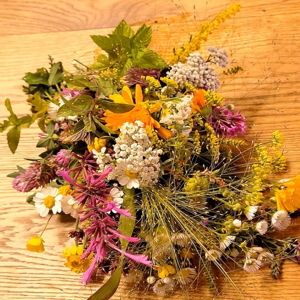 Wiesenblumen