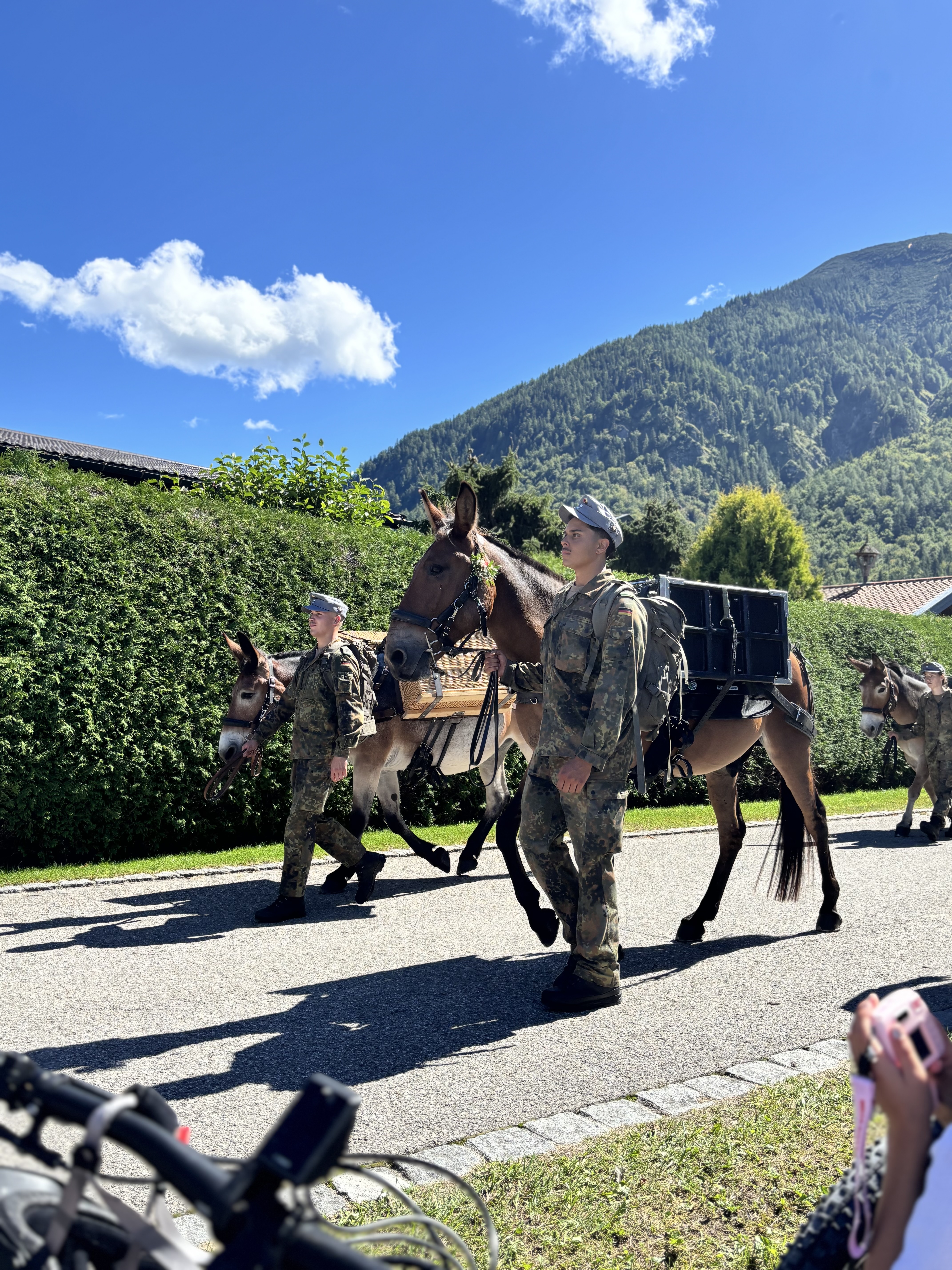 Rosstag