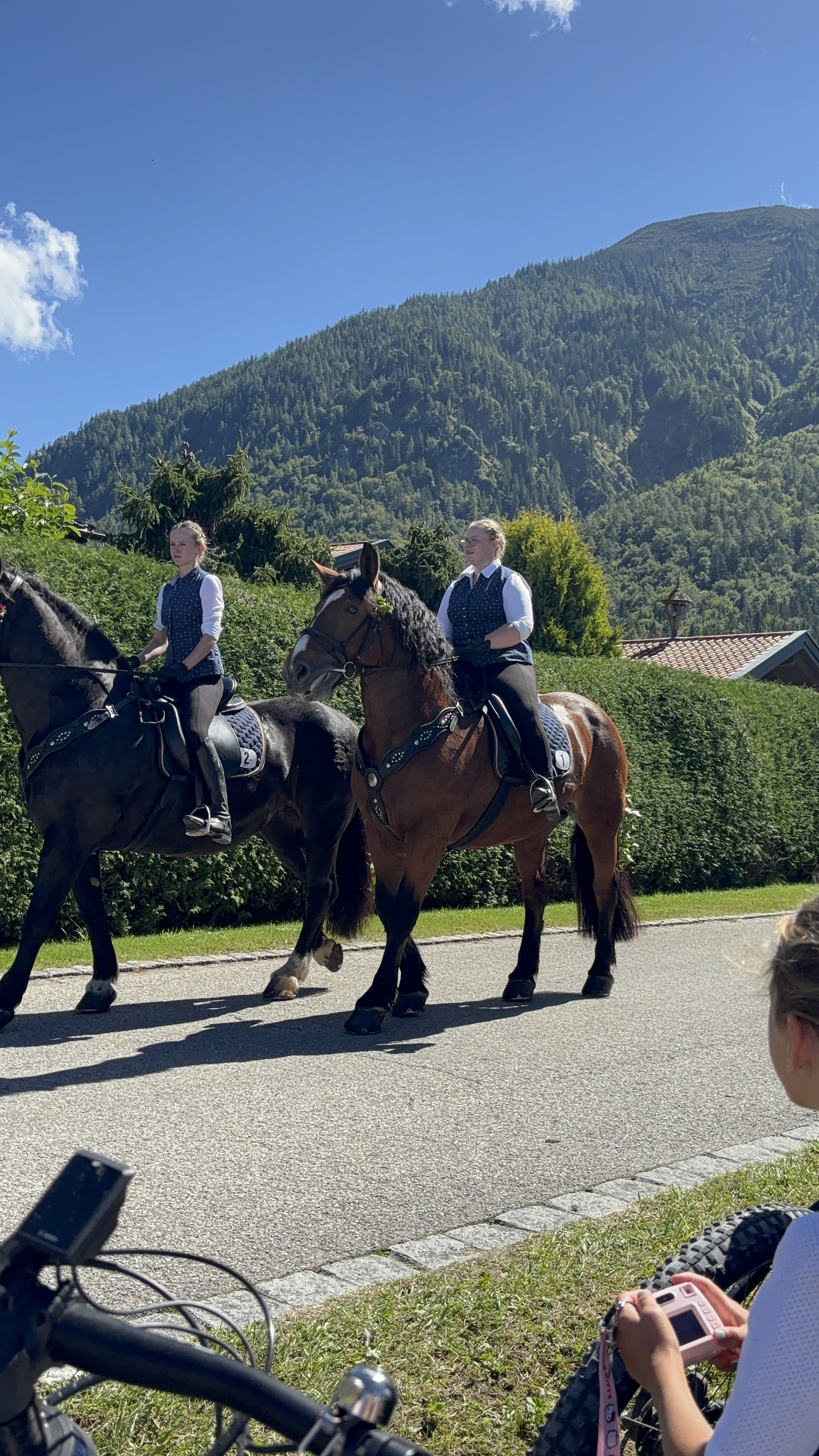 Rosstag