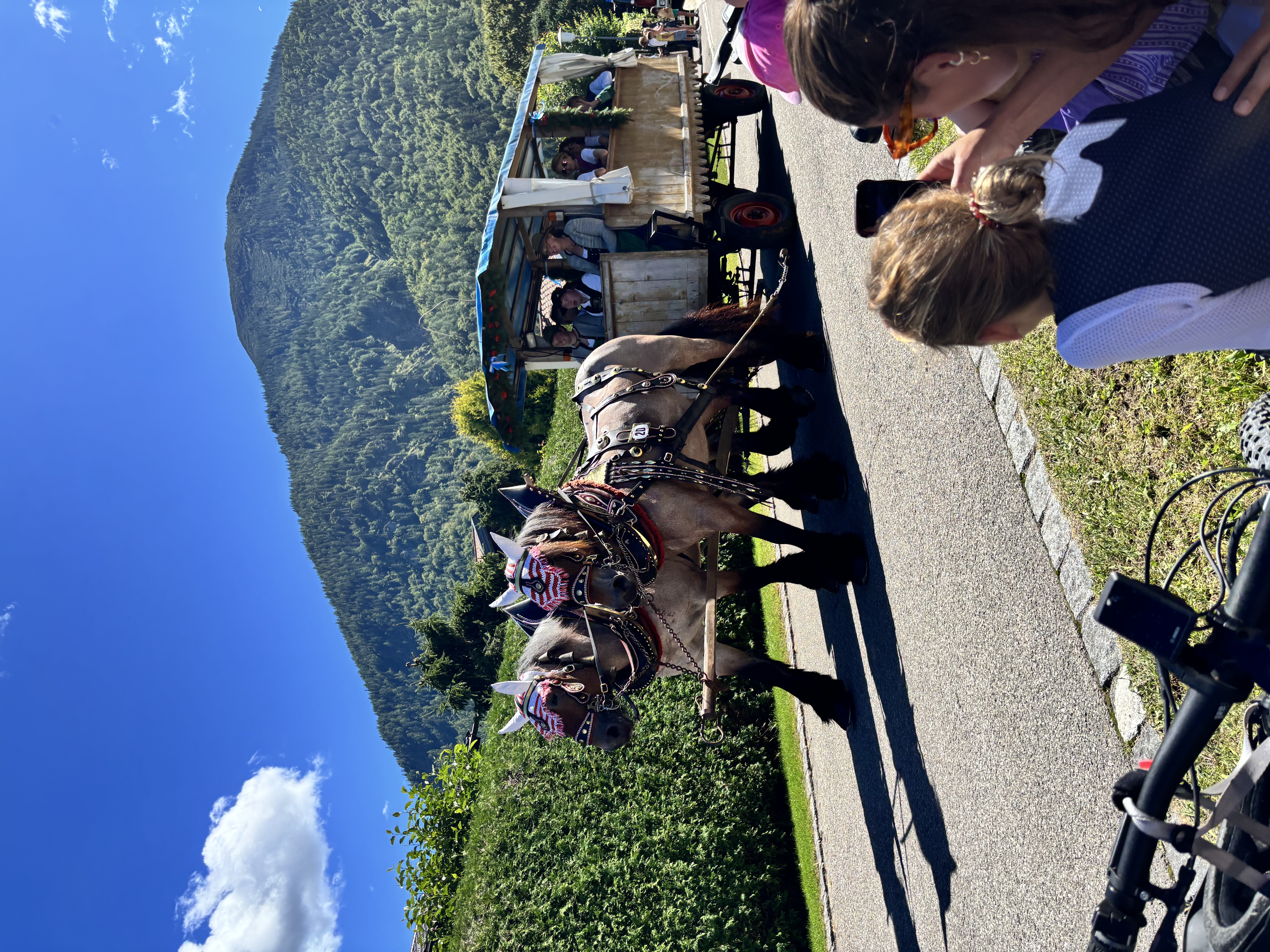 Rosstag