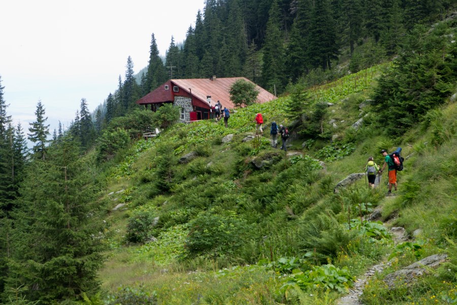 Bergwelt