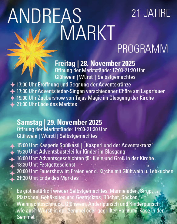 2025-11-28-PROGRAMM-A4-ANDREASMARKT-2024-Polarlichter-lila-Fichten-600