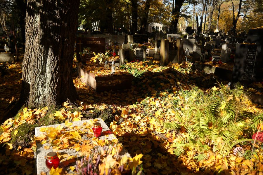 Friedhof unter Bäumen mit Herbstlaub im Sonnenlicht