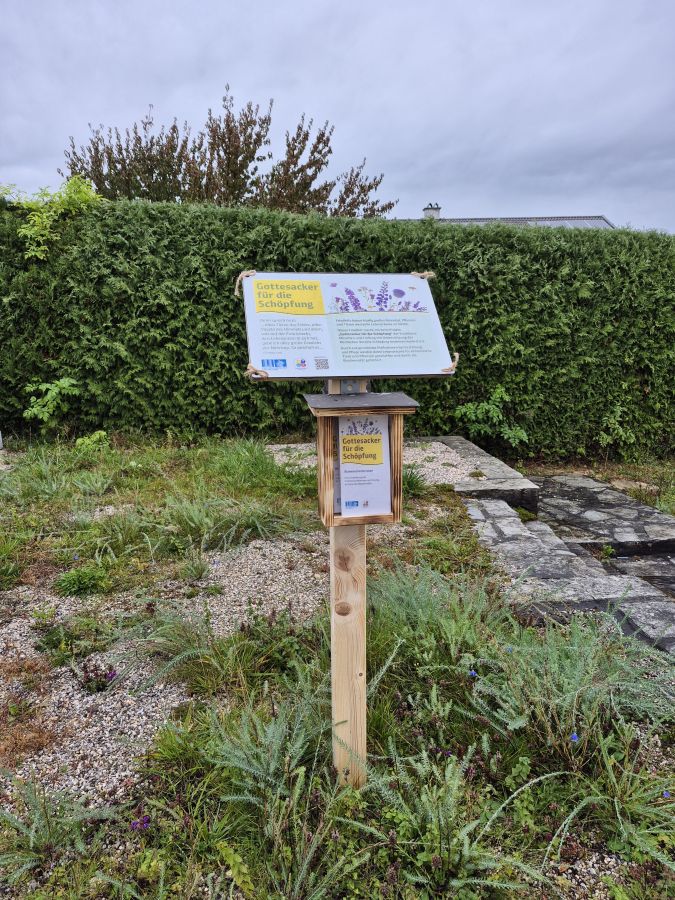 Blumenschotterrasen auf dem Friedhof von Mariä Himmelfahrt in Feldkirchen