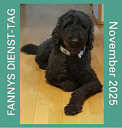 2025-11-04-BANNER-Fanny-Nov