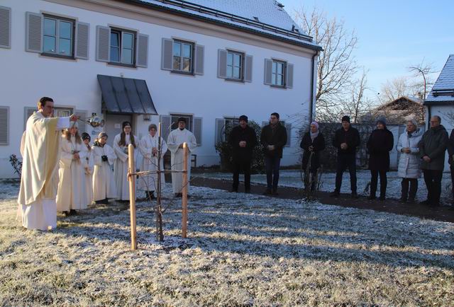 Größenänderung Neue Linde (10)